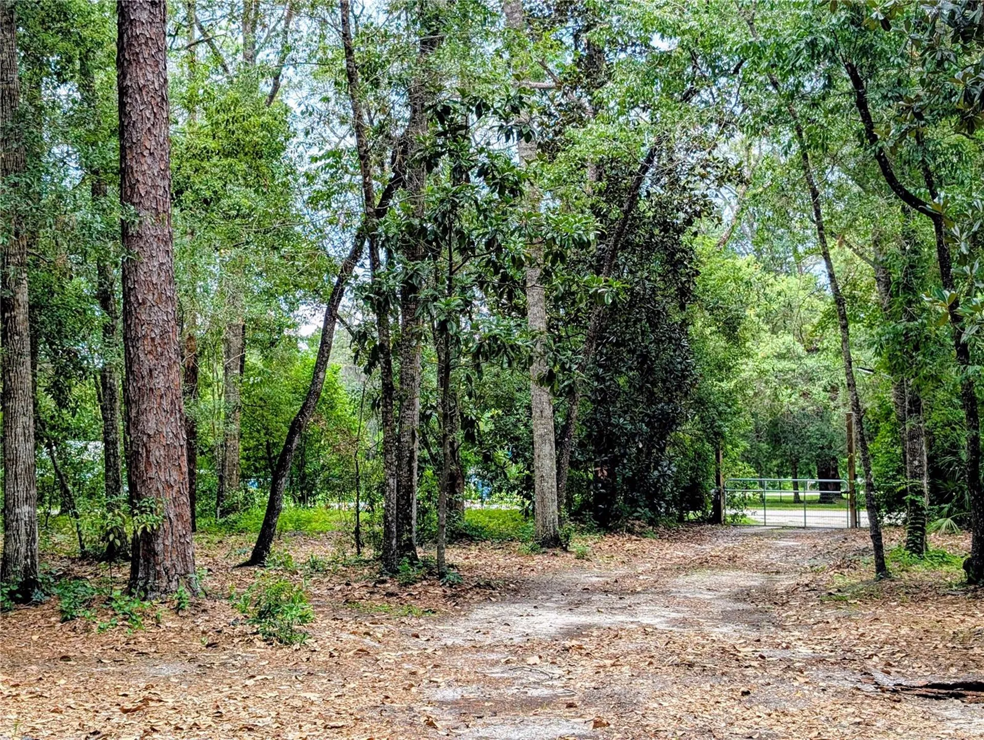 315 Garfield Avenue Brooksville FL 34604