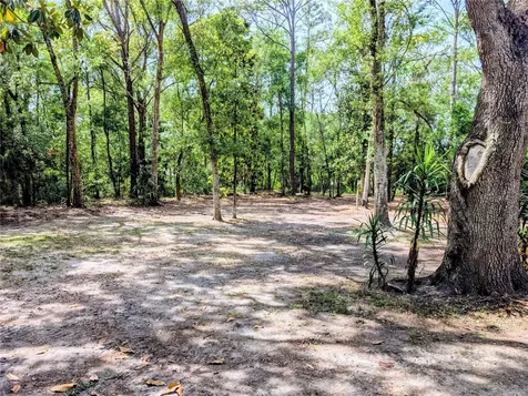 315 Garfield Avenue Brooksville FL 34604