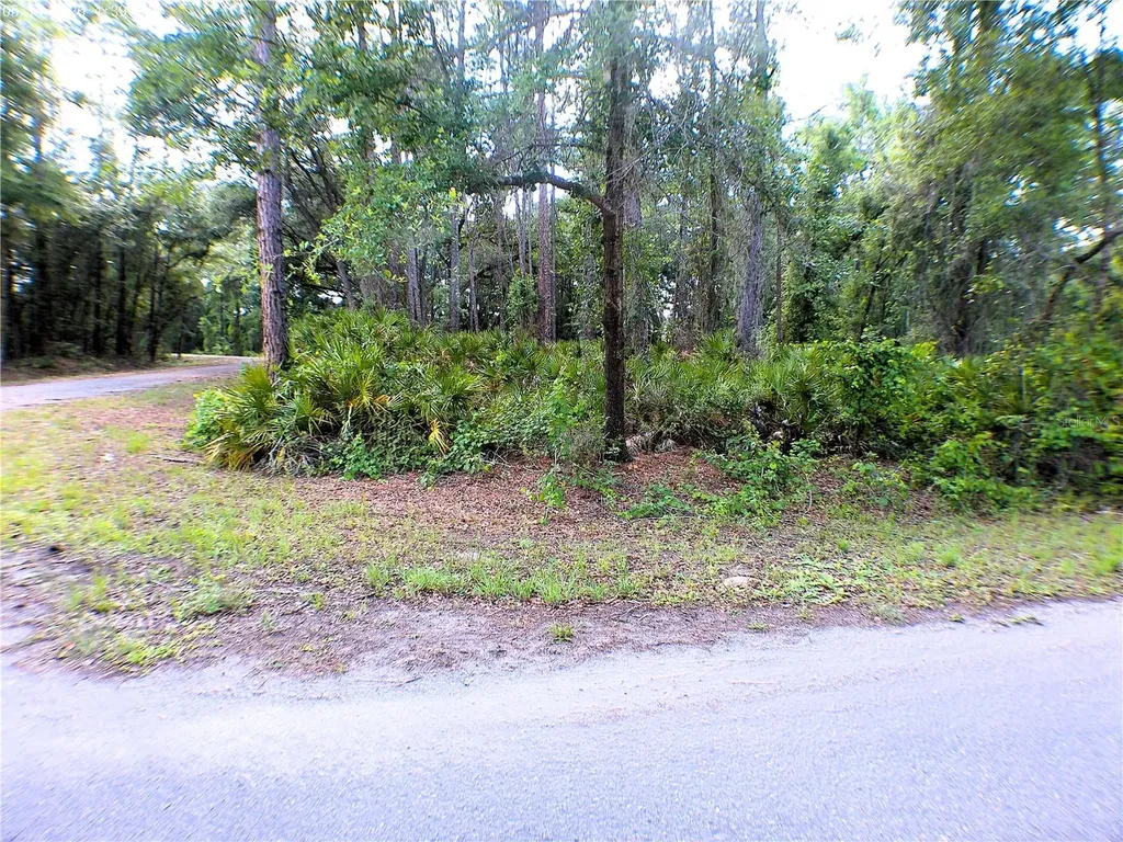 Sequoia Drive Ocklawaha FL 32179