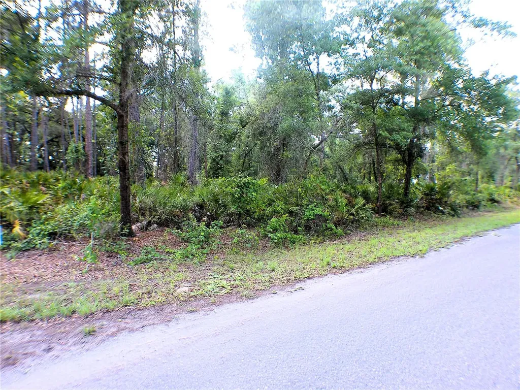 Sequoia Drive Ocklawaha FL 32179