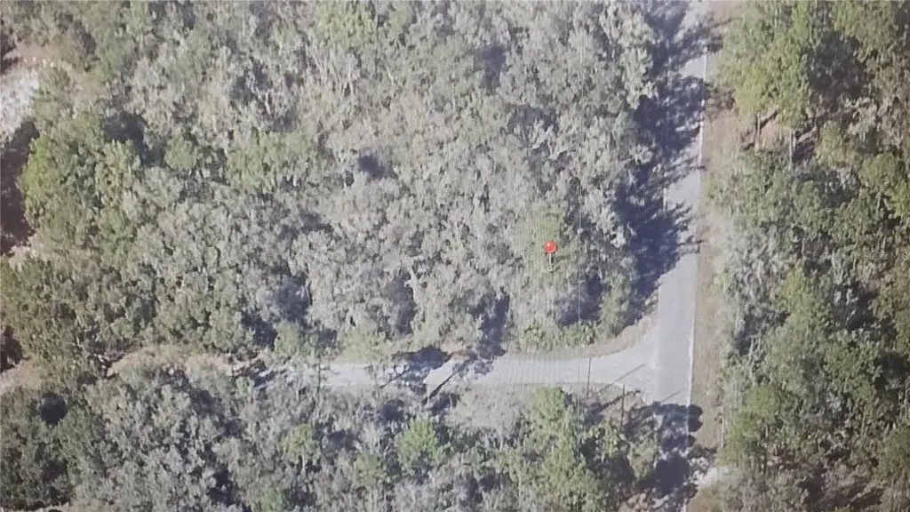 Sequoia Drive Ocklawaha FL 32179