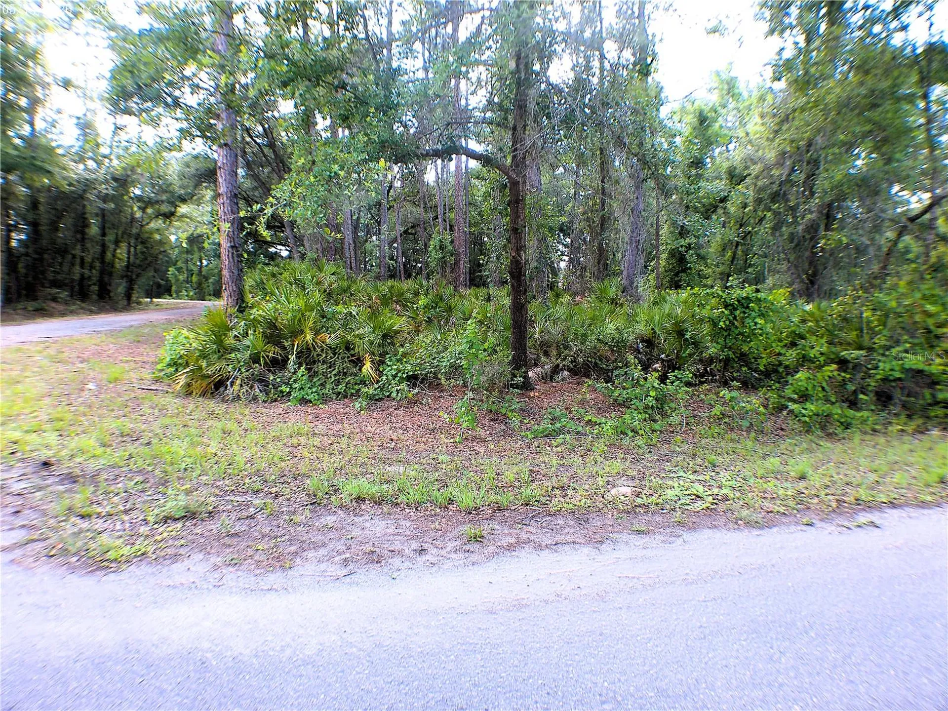 Sequoia Drive Ocklawaha FL 32179