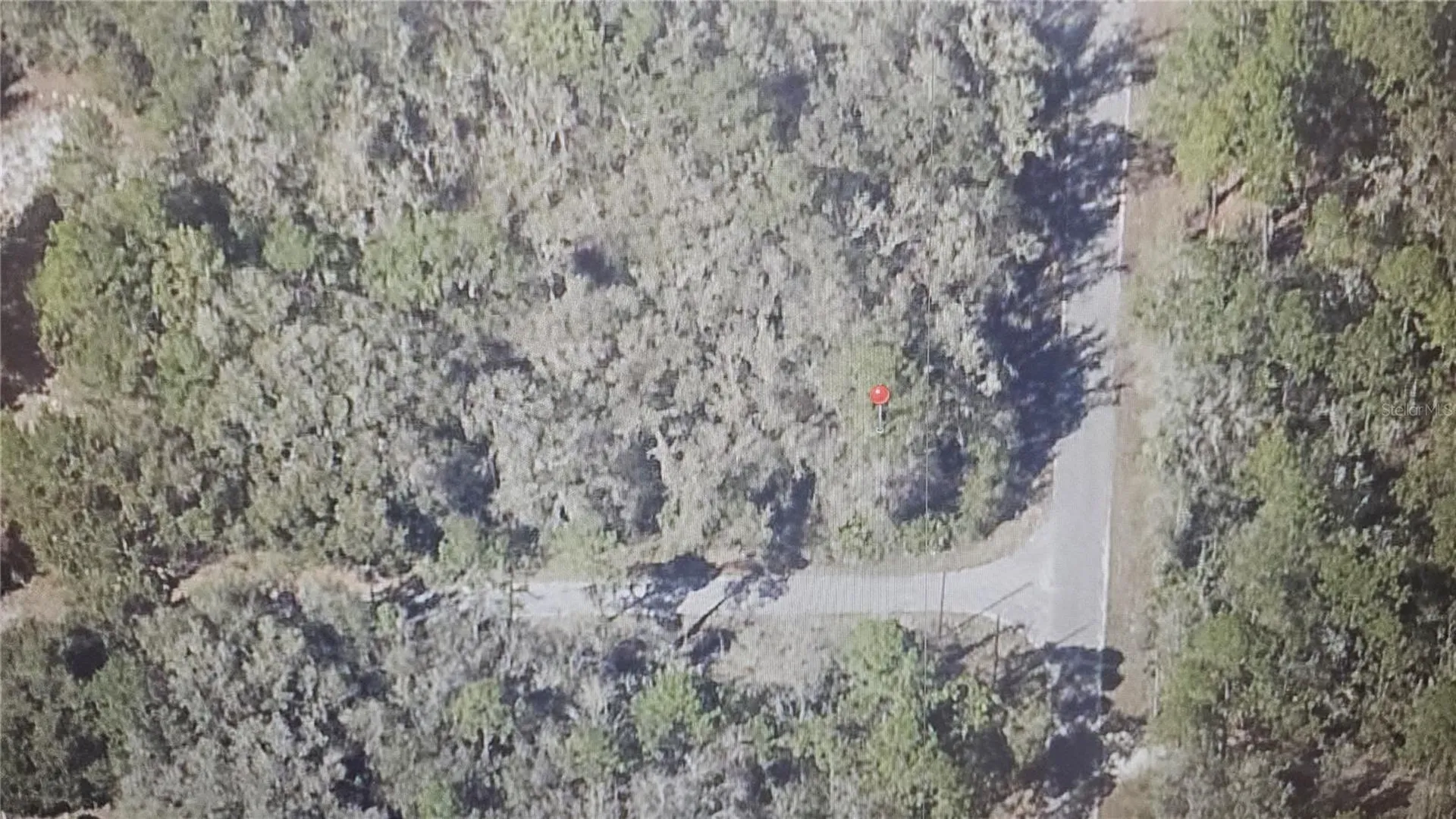 Sequoia Drive Ocklawaha FL 32179