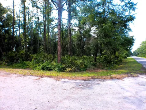 Sequoia Drive Ocklawaha FL 32179