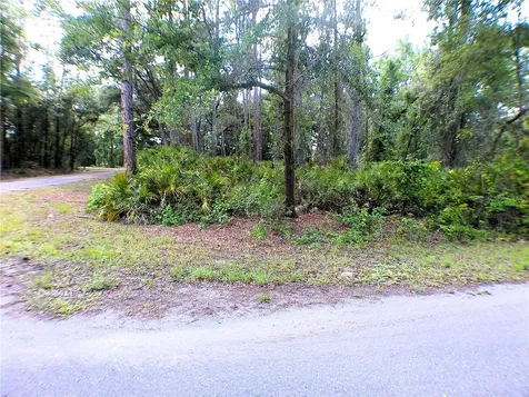 Sequoia Drive Ocklawaha FL 32179