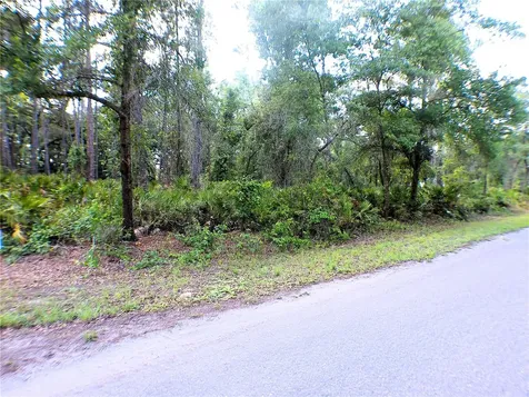 Sequoia Drive Ocklawaha FL 32179