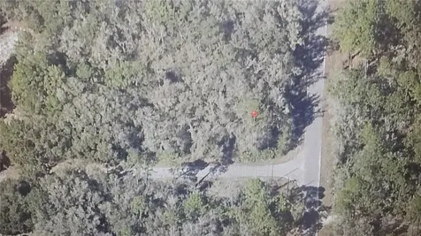 Sequoia Drive Ocklawaha FL 32179