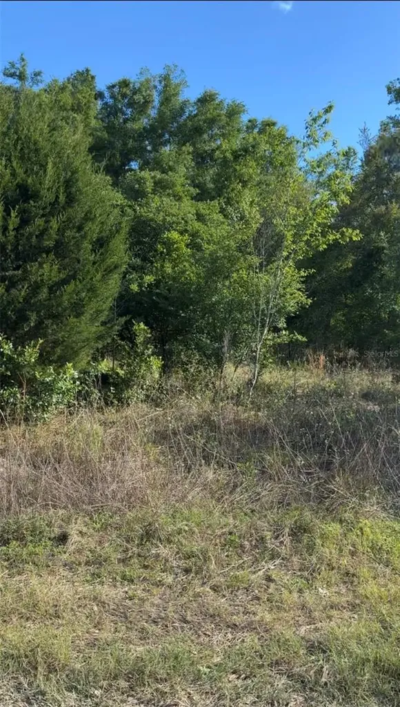 2405 Wilson Street Street Inverness FL 34453