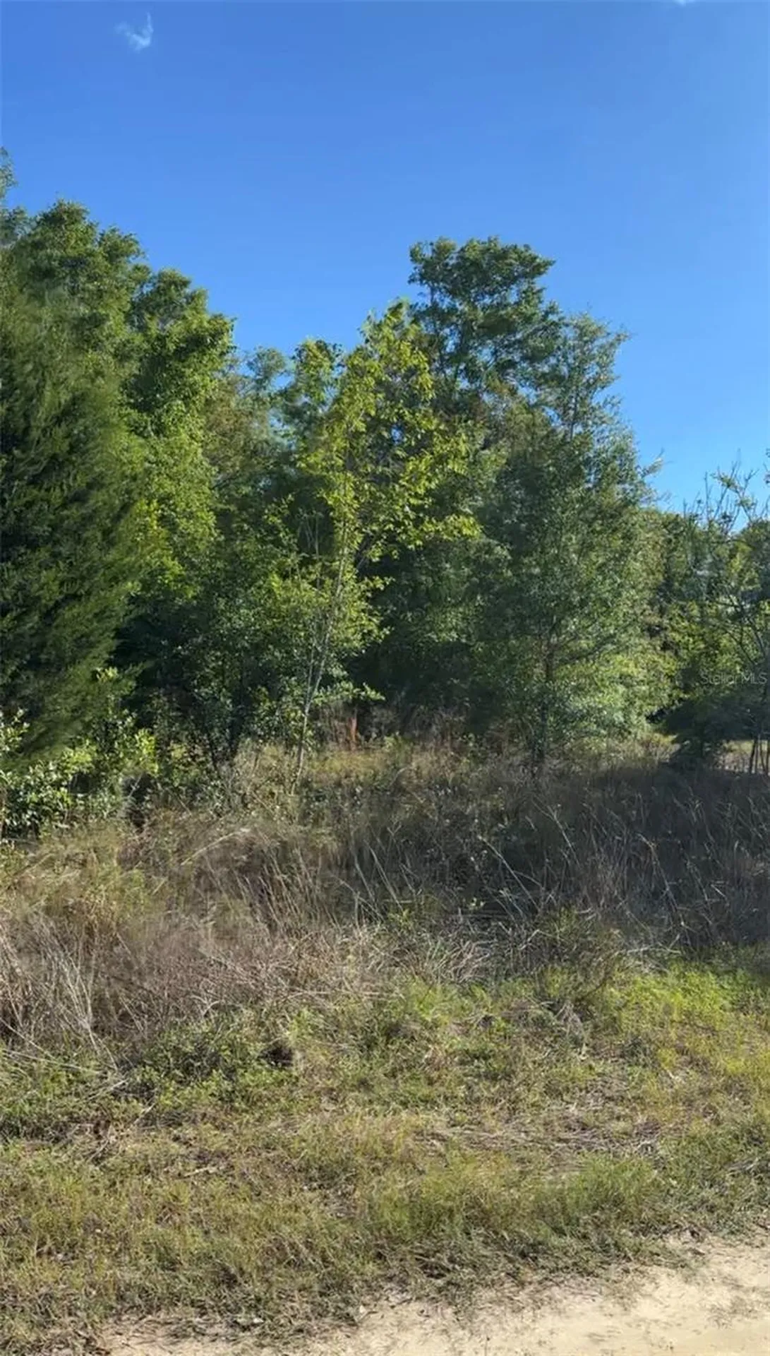 2405 Wilson Street Street Inverness FL 34453