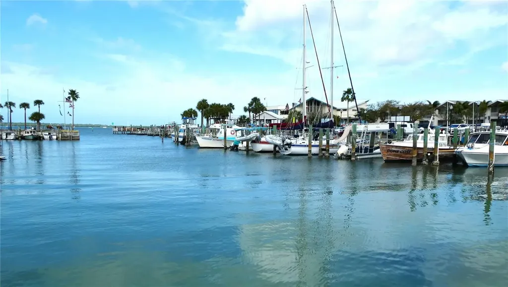 885 Beltrees Street Dunedin FL 34698