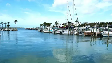 885 Beltrees Street Dunedin FL 34698