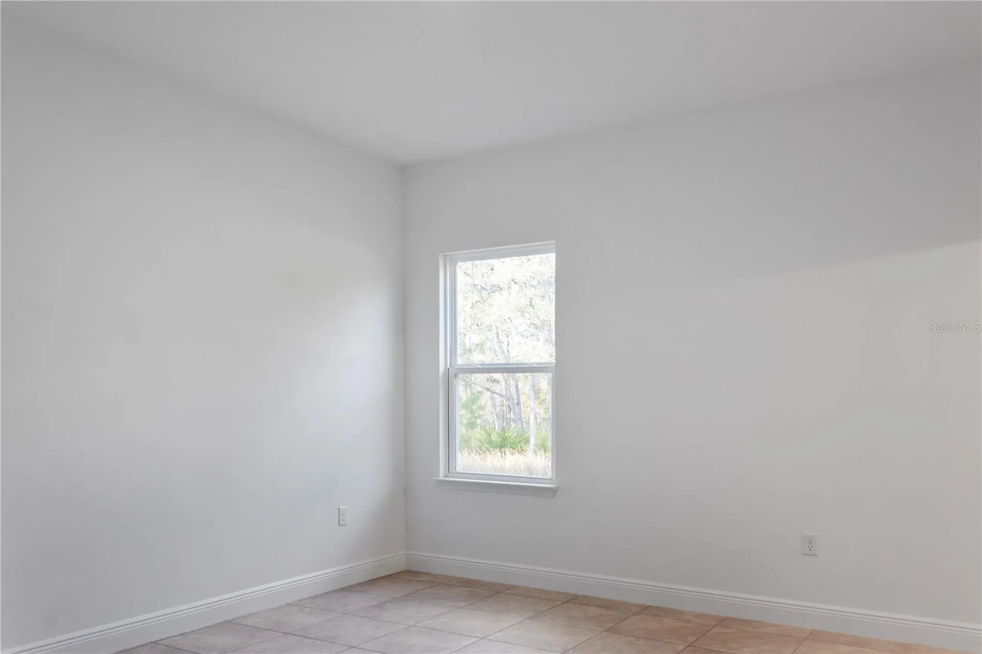 1569 W Mc Neal Drive Citrus Springs FL 34434