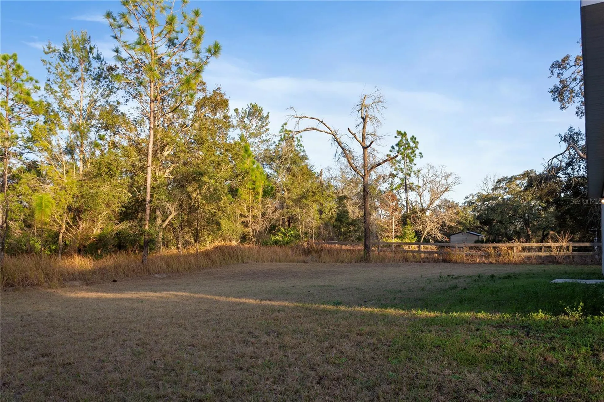 1569 W Mc Neal Drive Citrus Springs FL 34434