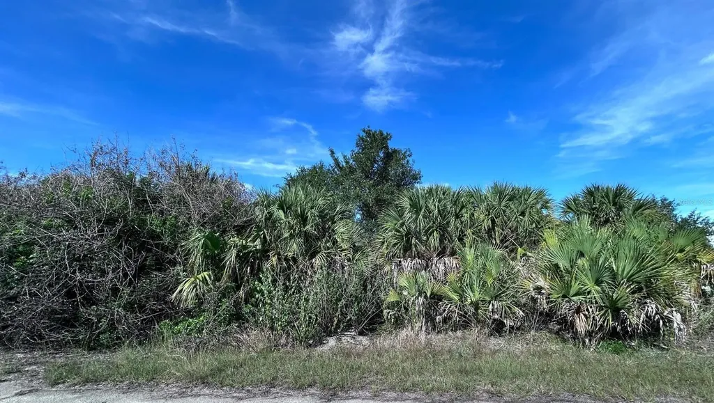 Bigflower Avenue North Port FL 34288