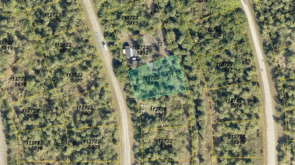 Bigflower Avenue North Port FL 34288