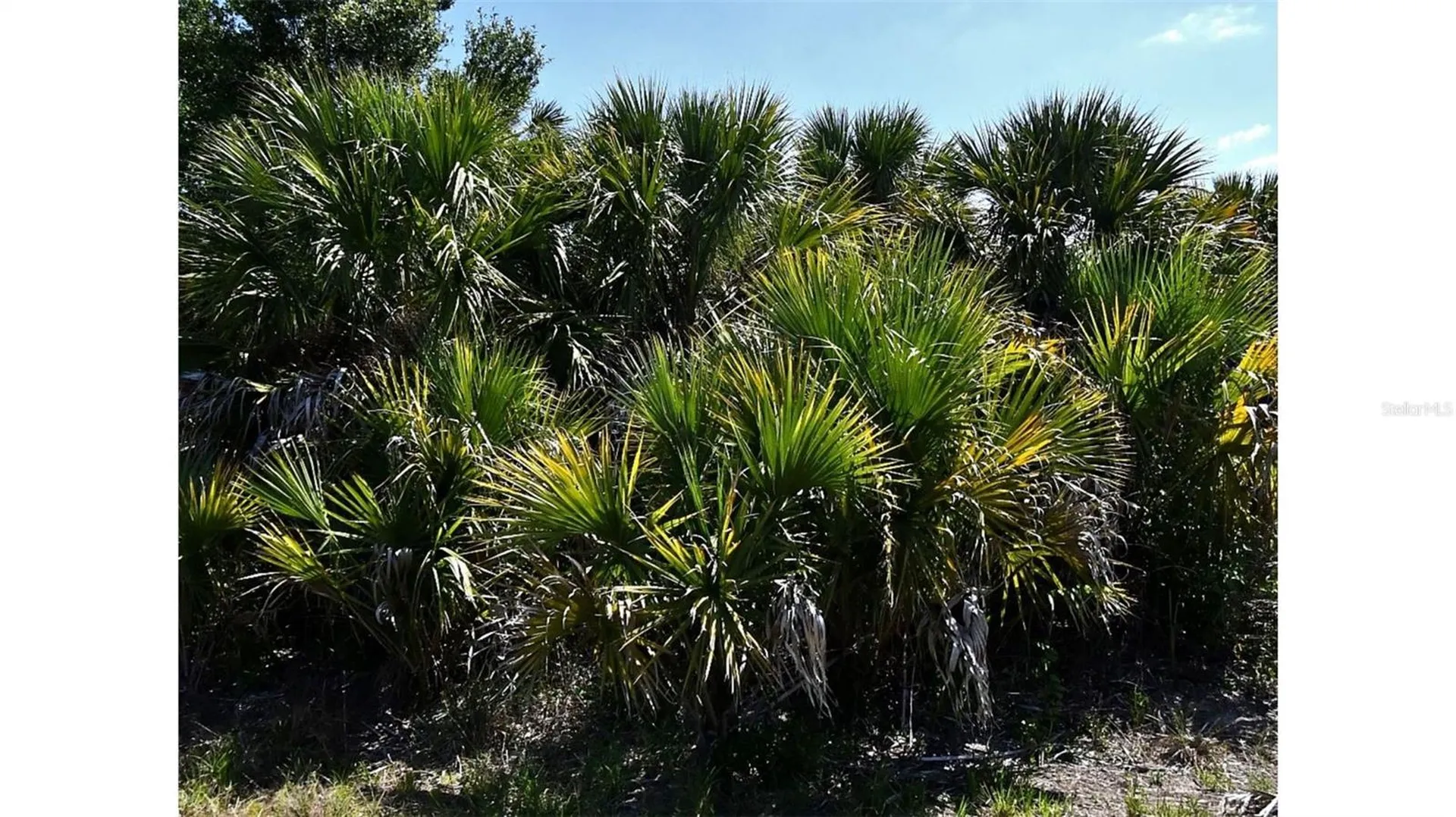 Bigflower Avenue North Port FL 34288