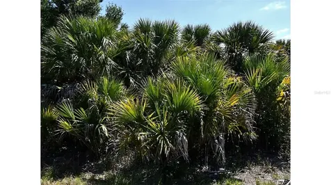 Bigflower Avenue North Port FL 34288