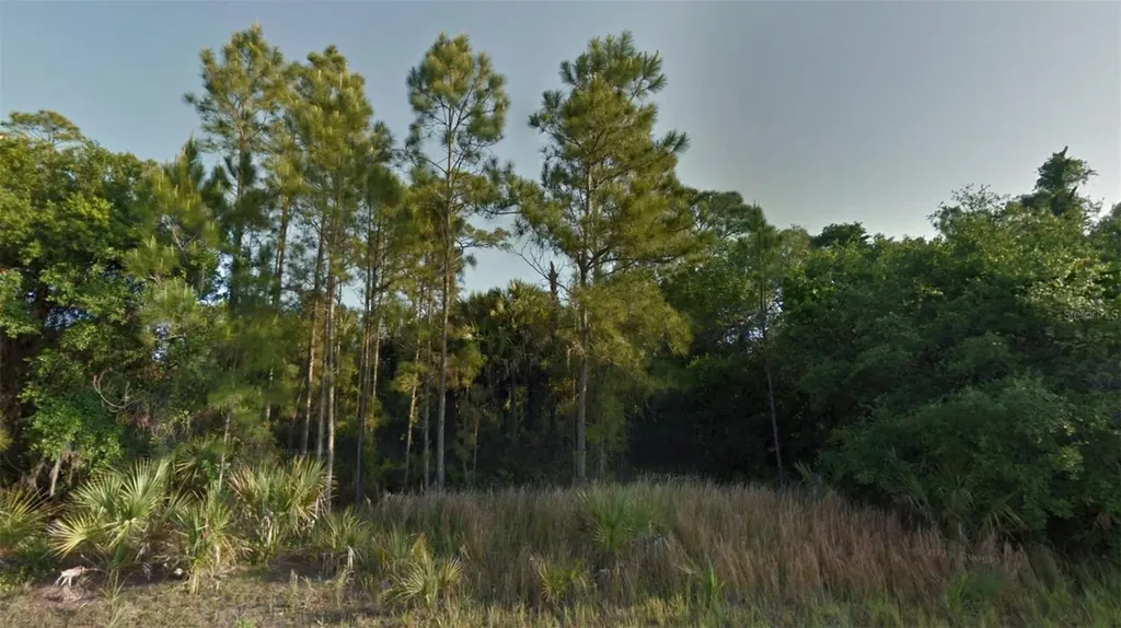 Crimsonglory Road North Port FL 34288