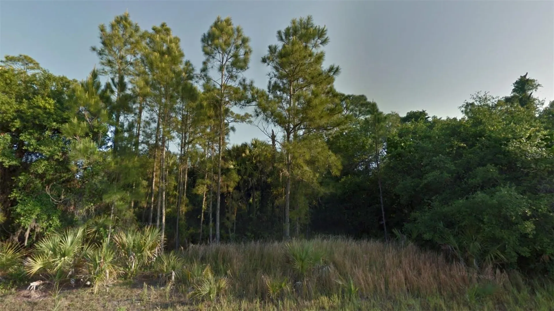 Crimsonglory Road North Port FL 34288