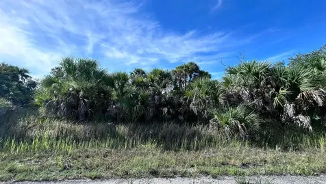 Crimsonglory Road North Port FL 34288