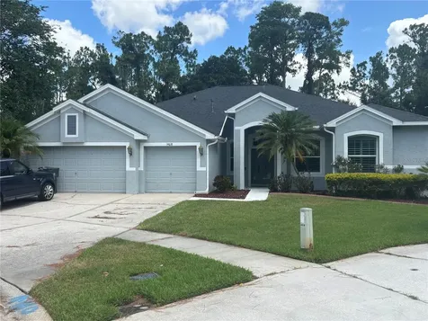 14618 Fetterbush Way Tampa FL 33626
