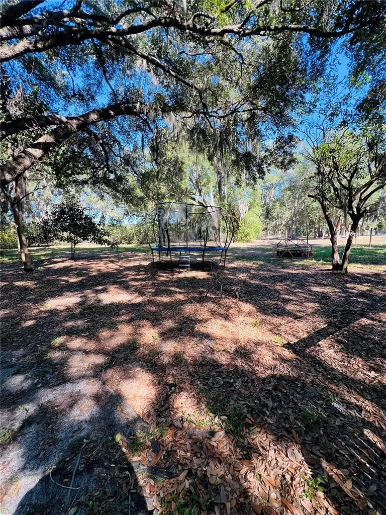 4420 Bailey Road Mulberry FL 33860
