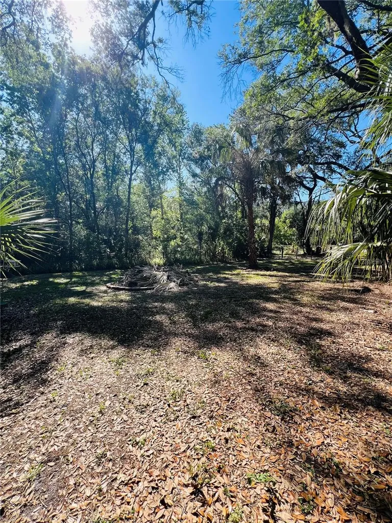 4420 Bailey Road Mulberry FL 33860