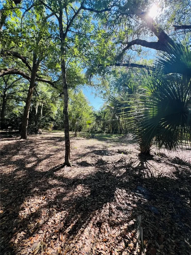 4420 Bailey Road Mulberry FL 33860
