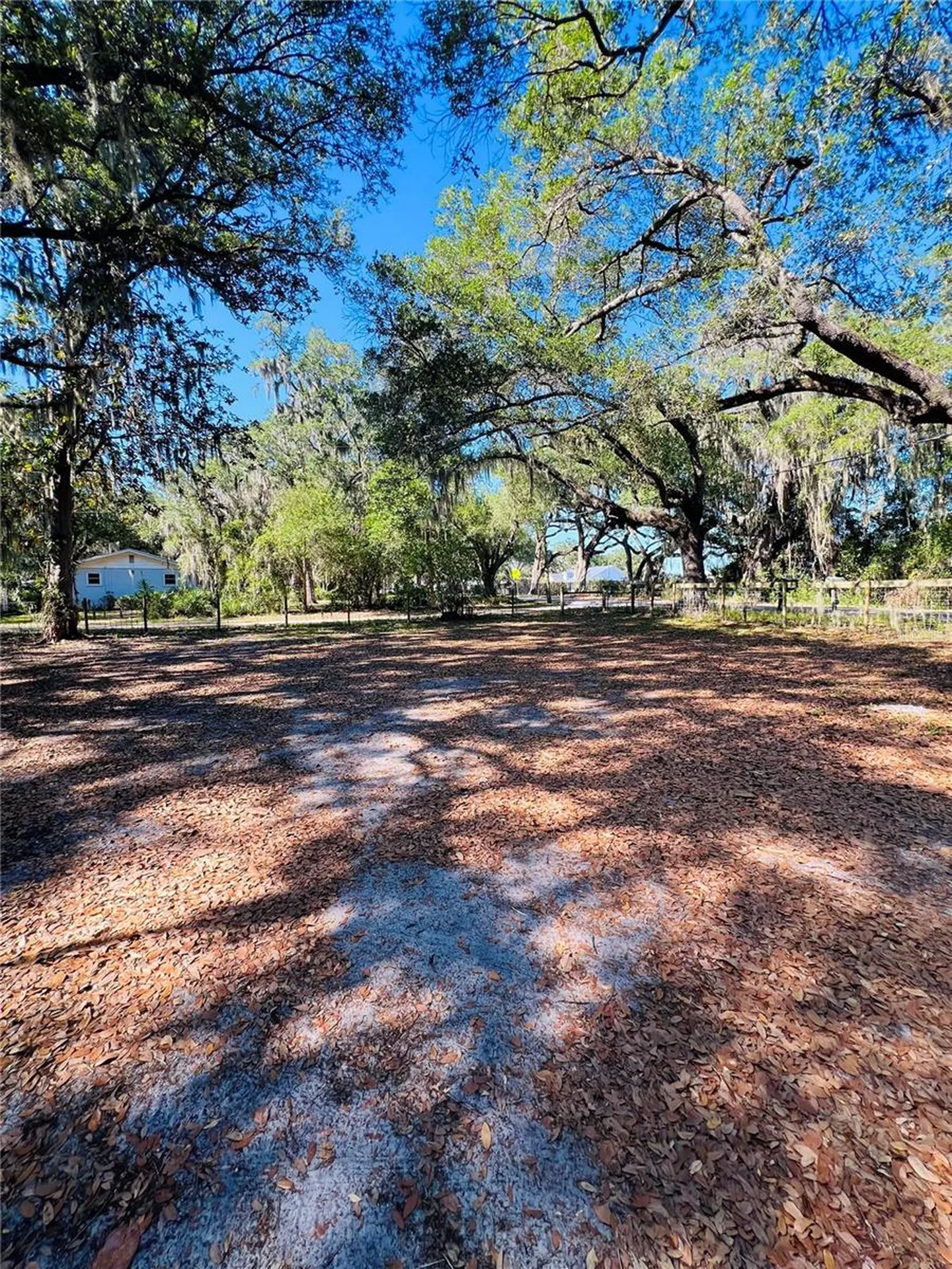 4420 Bailey Road Mulberry FL 33860