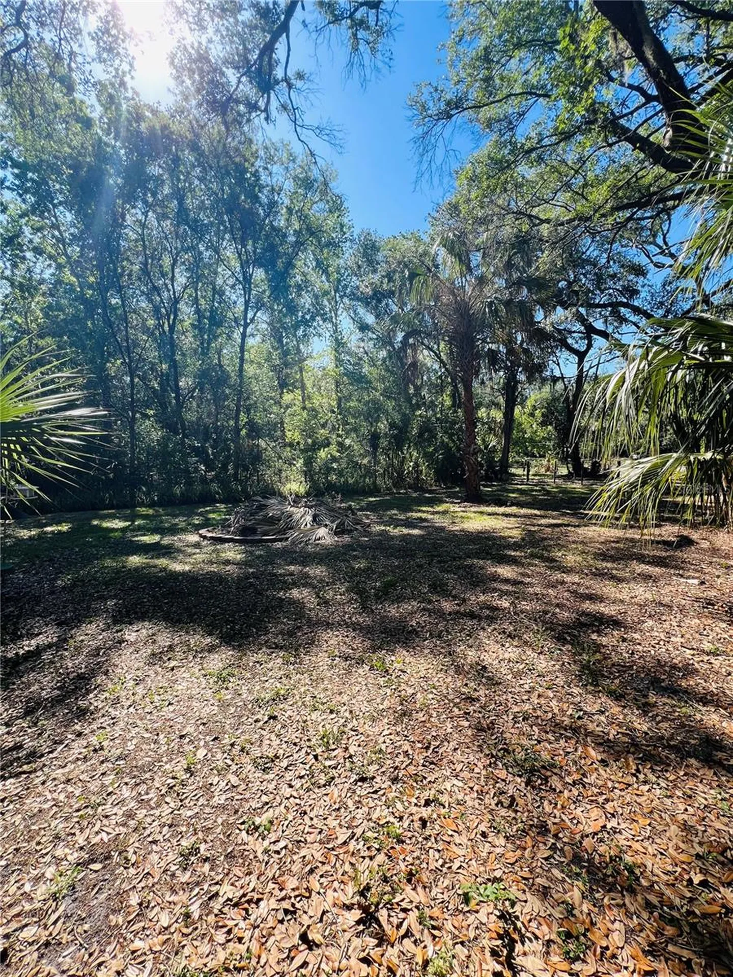 4420 Bailey Road Mulberry FL 33860