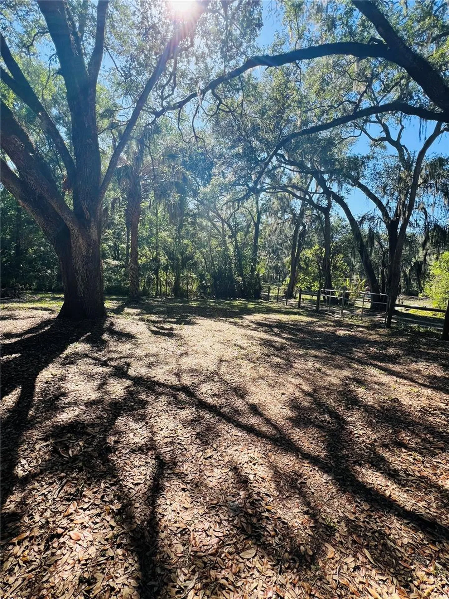 4420 Bailey Road Mulberry FL 33860