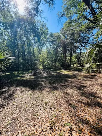 4420 Bailey Road Mulberry FL 33860