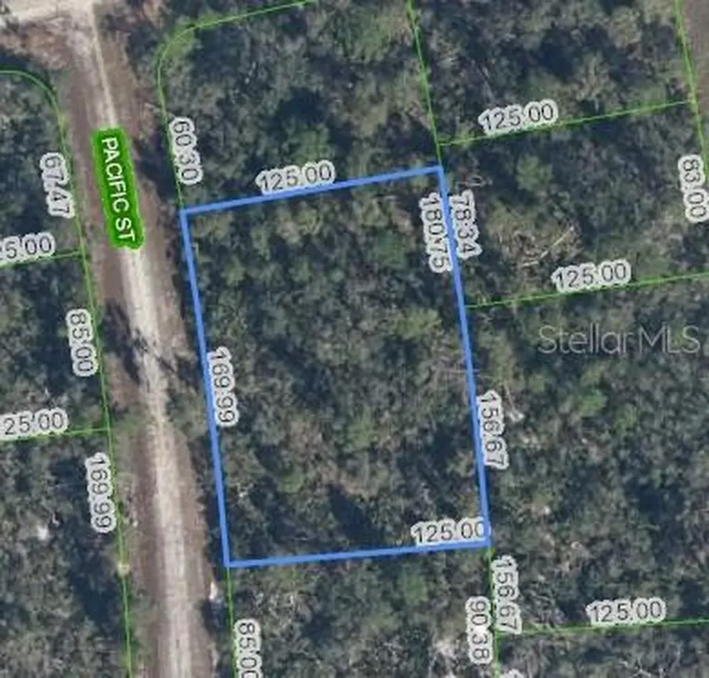 719 Pacific Street Lake Placid FL 33852