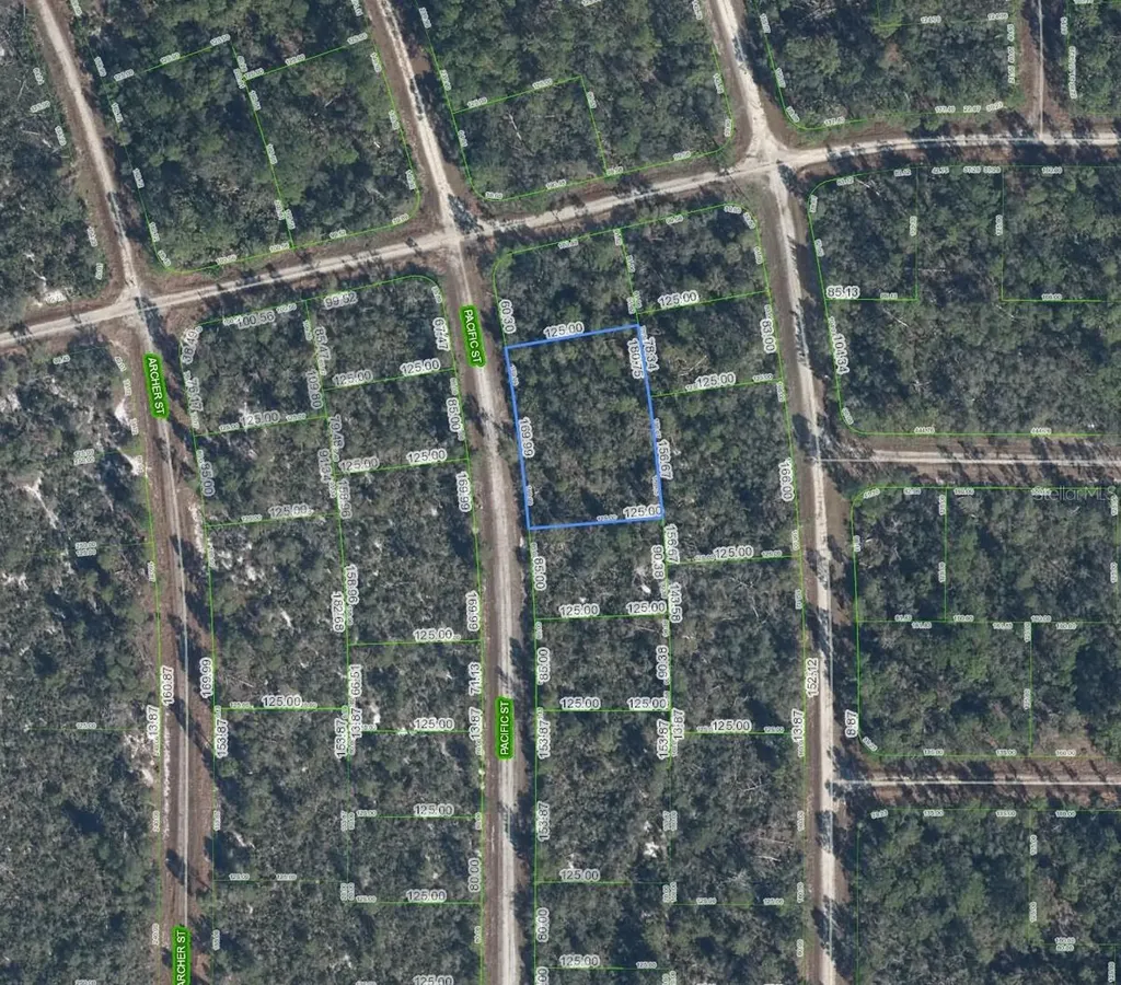 719 Pacific Street Lake Placid FL 33852
