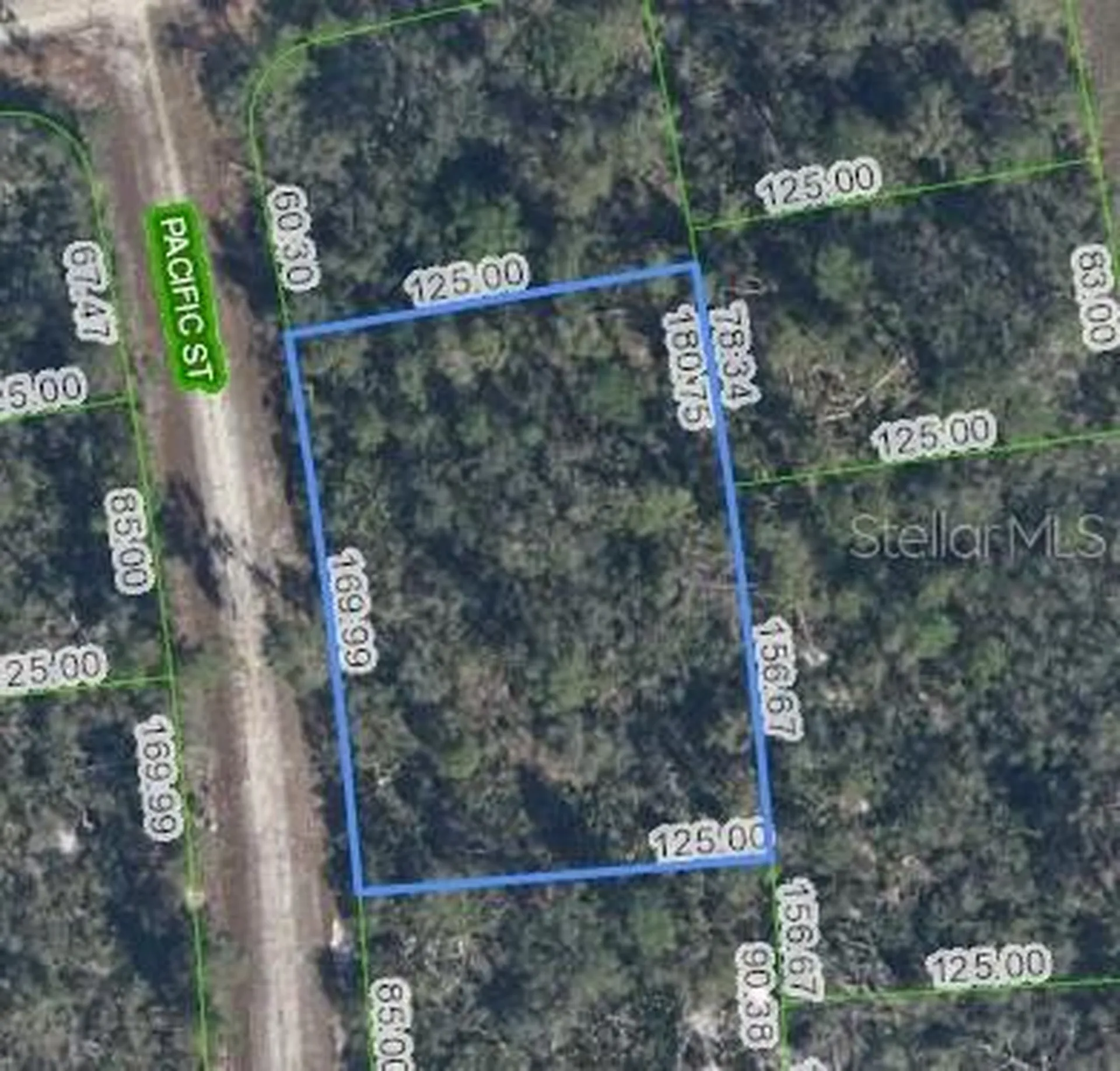 719 Pacific Street Lake Placid FL 33852