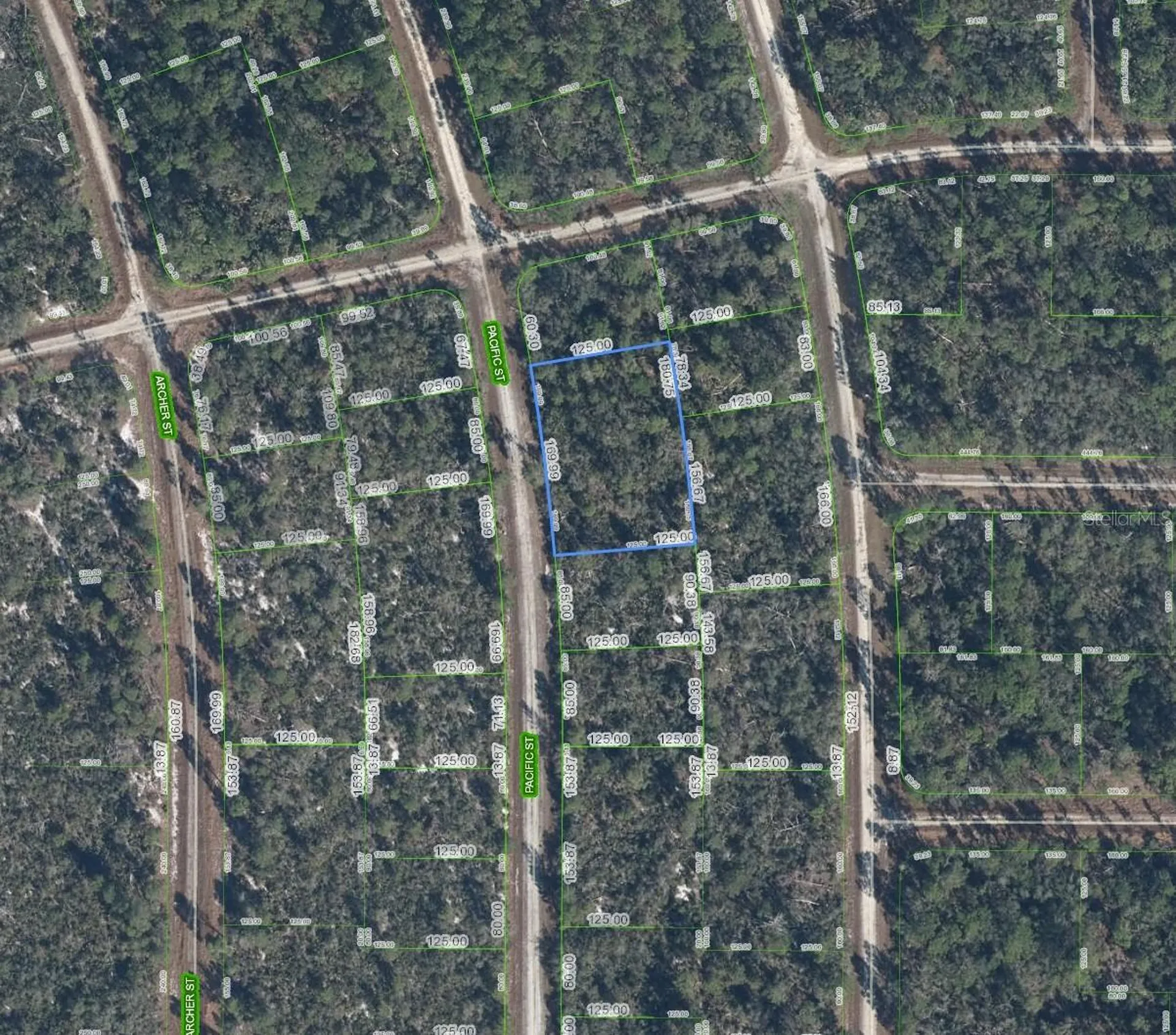 719 Pacific Street Lake Placid FL 33852