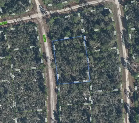719 Pacific Street Lake Placid FL 33852