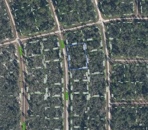 719 Pacific Street Lake Placid FL 33852