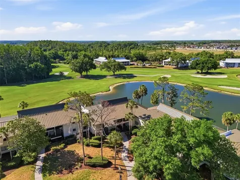 29300 Bay Hollow Drive Wesley Chapel FL 33543