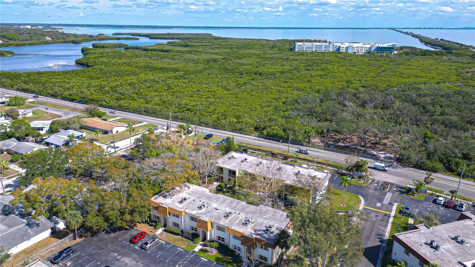 249 S Mcmullen Booth Road Clearwater FL 33759