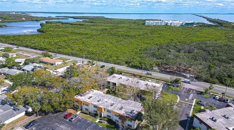 249 S Mcmullen Booth Road Clearwater FL 33759