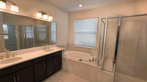 1710 Goblet Cove St, Kissimmee FL 34746