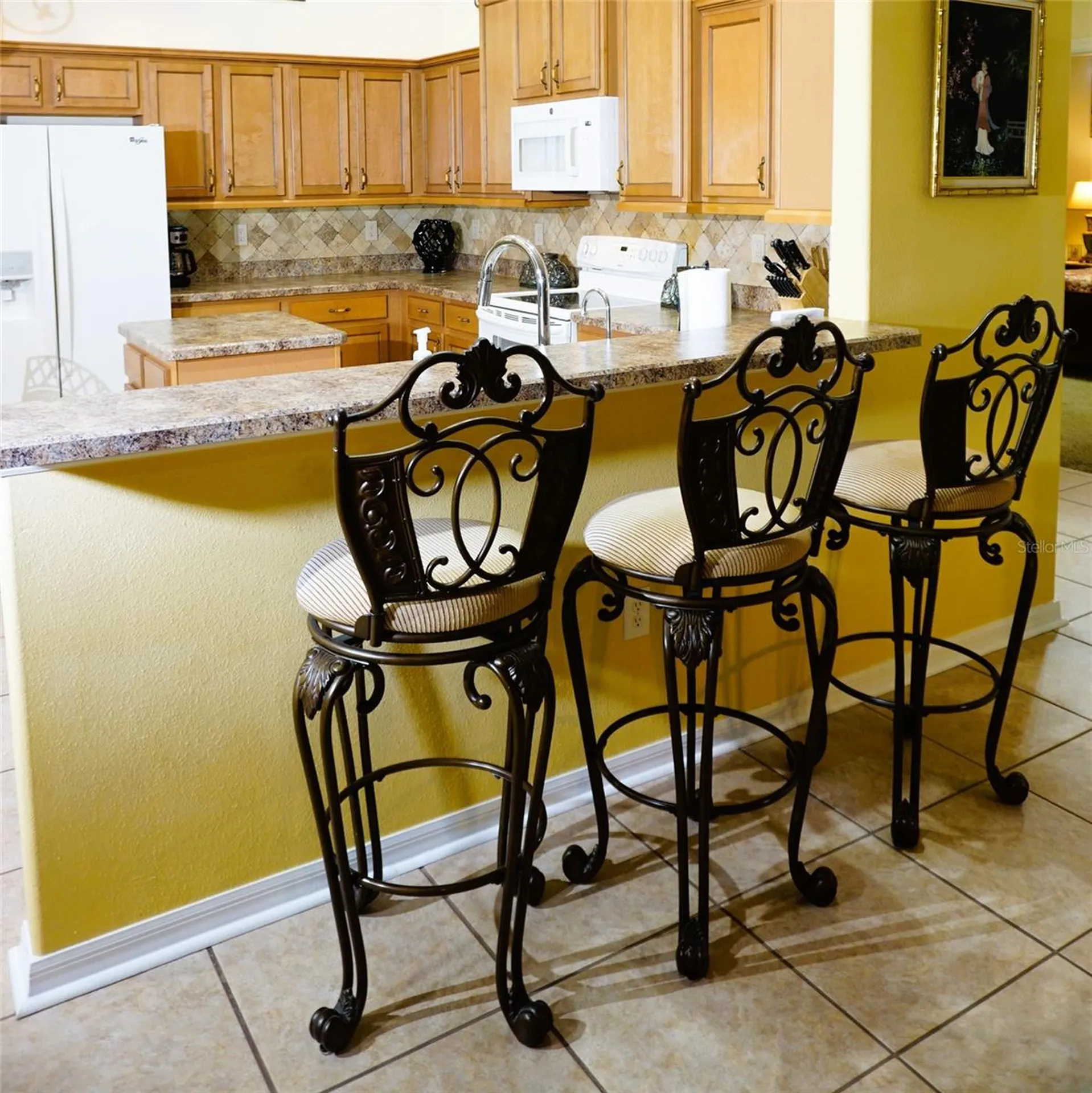 6402 Barcellona Road Land O Lakes FL 34637