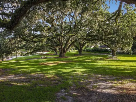 210 Weeping Elm Lane Longwood FL 32779