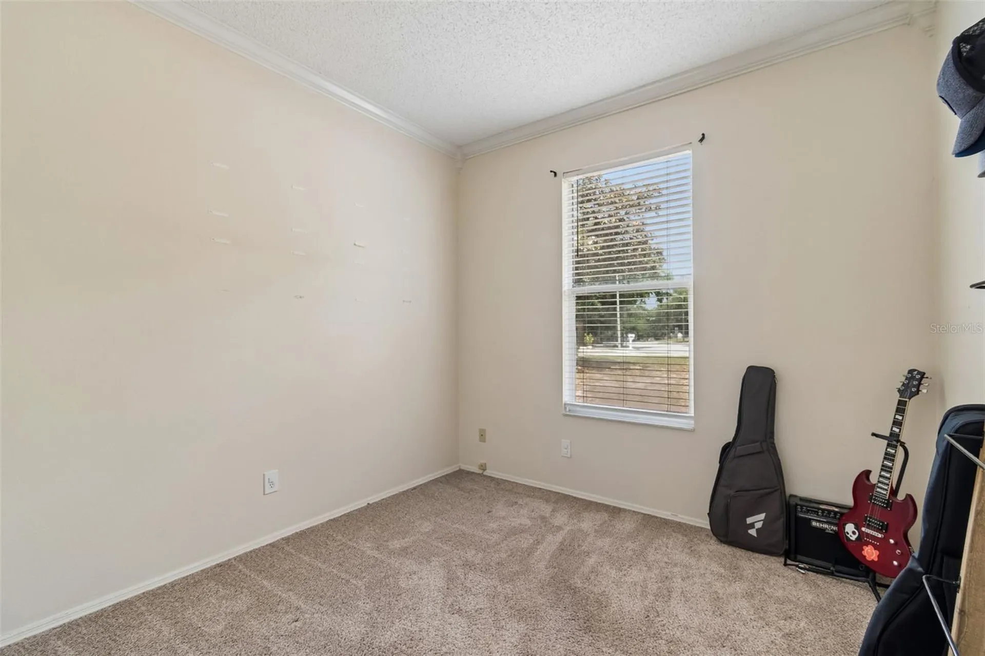 912 Grand Canyon Drive Valrico FL 33594