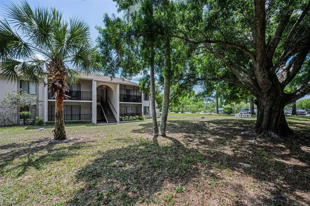 2600 Pine Ridge Way S Palm Harbor FL 34684