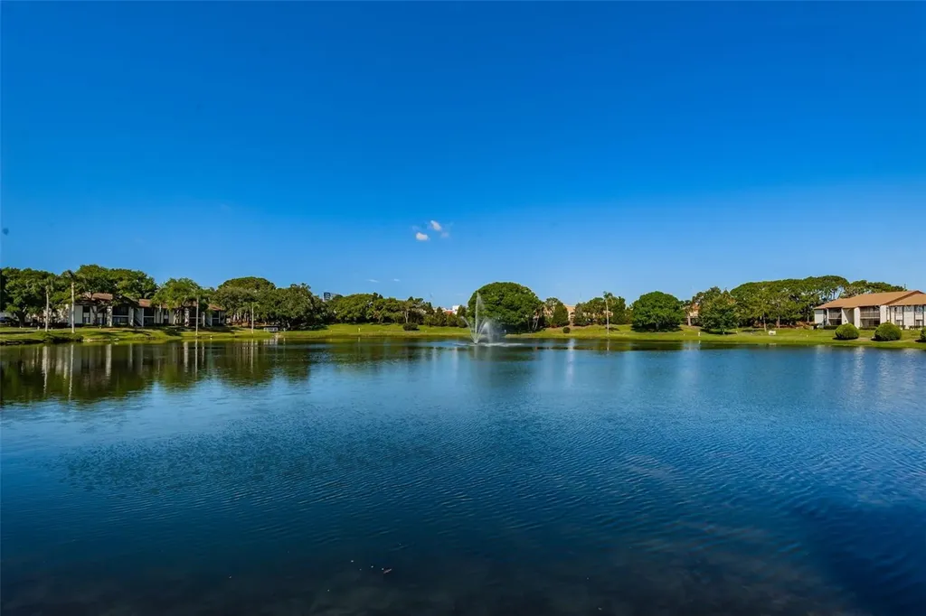 2600 Pine Ridge Way S Palm Harbor FL 34684