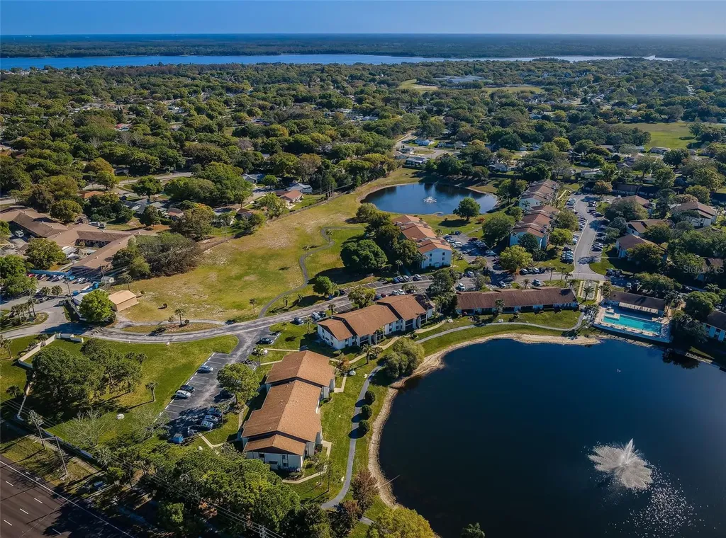 2600 Pine Ridge Way S Palm Harbor FL 34684