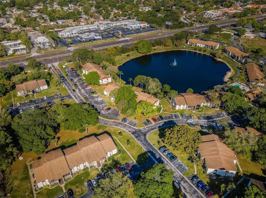 2600 Pine Ridge Way S Palm Harbor FL 34684