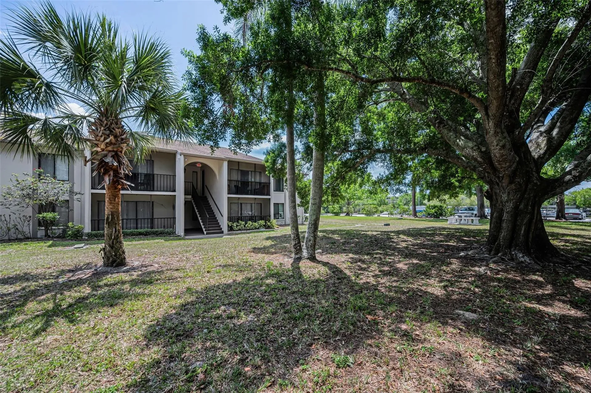 2600 Pine Ridge Way S Palm Harbor FL 34684